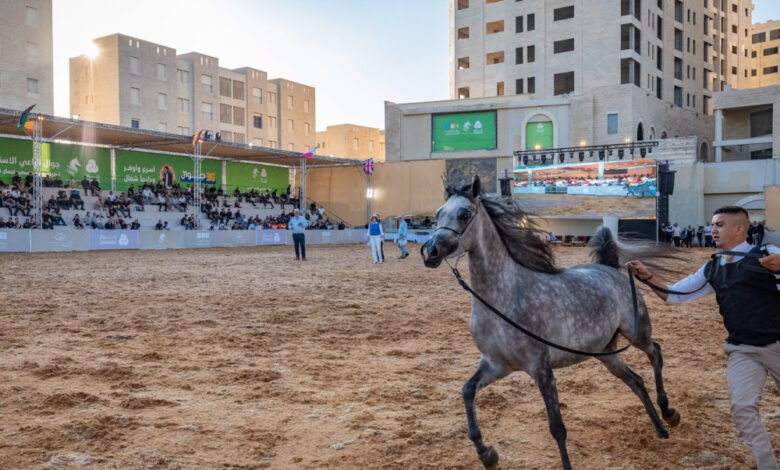 مدينة روابي تشهد انطلاق أضخم بطولات جمال الخيل العربية في فلسطين