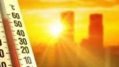 الدفاع المدني يدعو المواطنين إلى الالتزام بإرشادات السلامة في ظل موجة الحر السائدة
